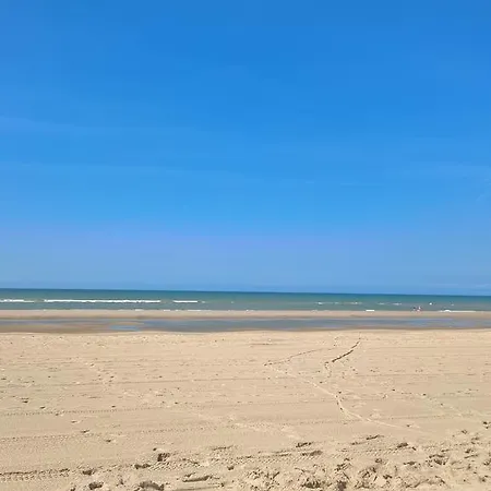 Alvama Отель типа 